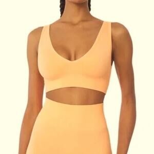 NWT We Wore What “peach cobbler” orange v-neck bra top